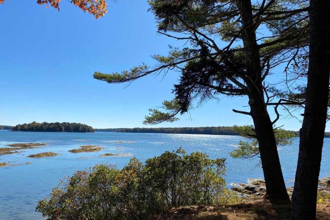 Photo of Others in Waldoboro