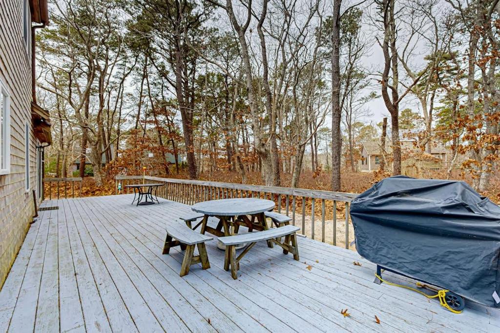 Photo of Others in Wellfleet