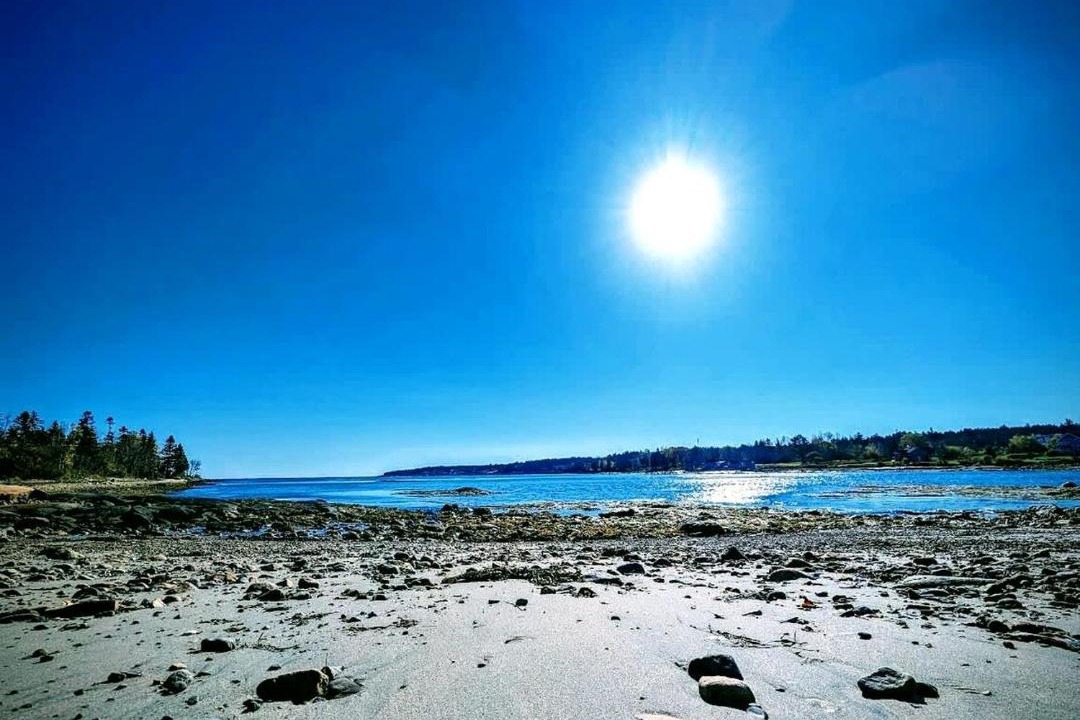 Photo of Others in Prospect Harbor