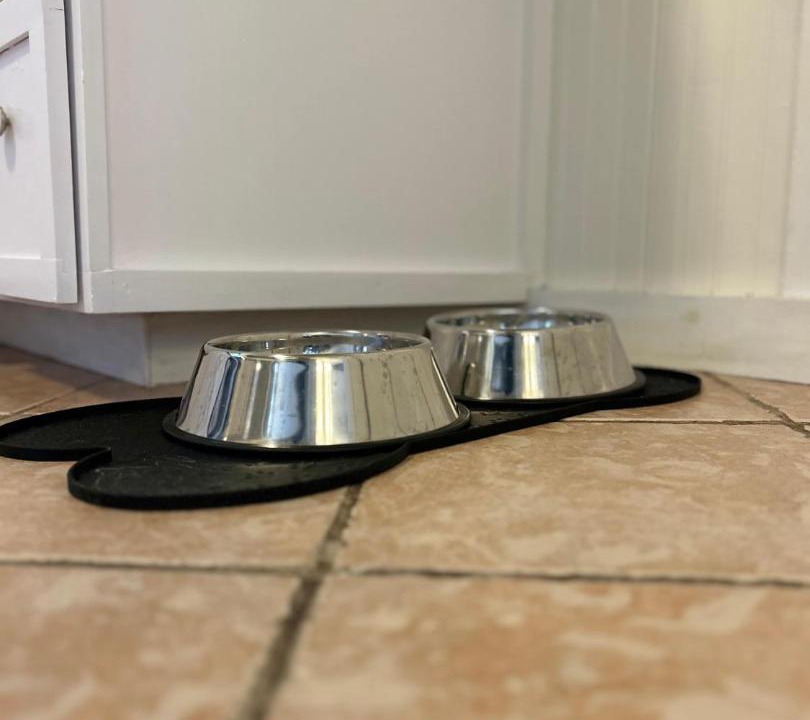 Photo of Kitchen in Portsmouth