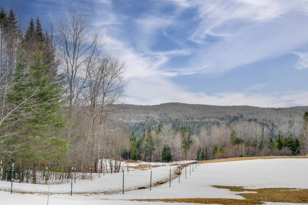 Photo of Others in Walden