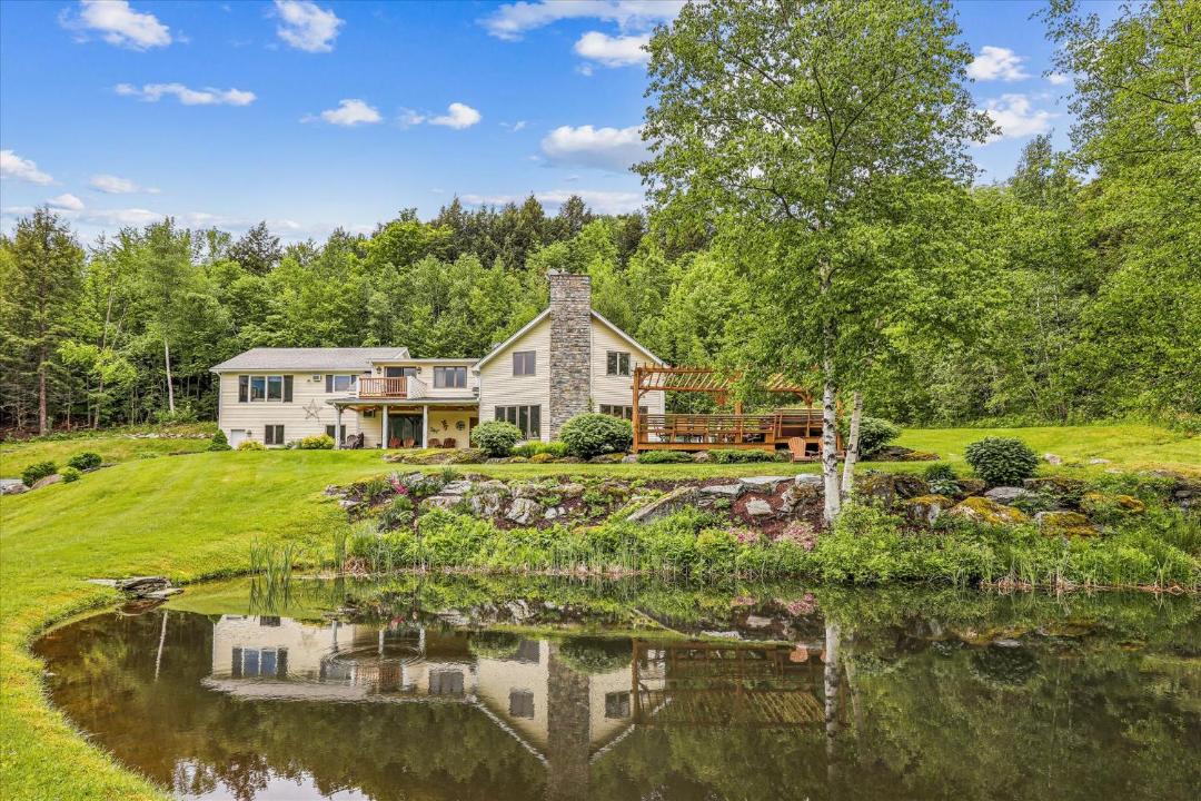 Photo of Others in Stowe Hollow