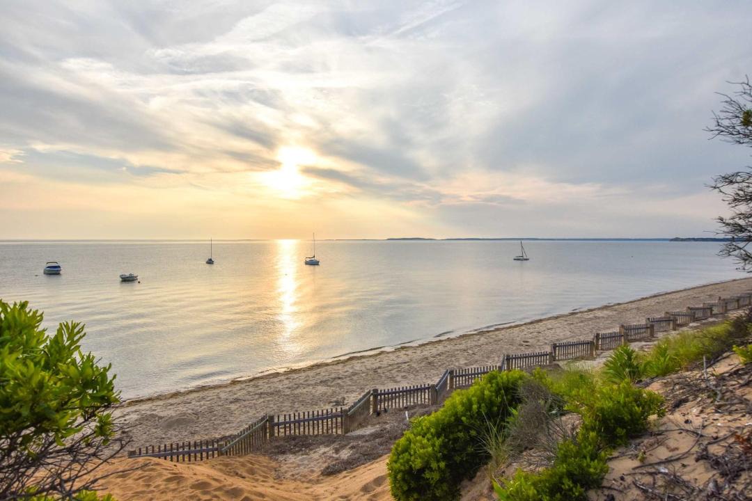 Photo of Others in North Eastham