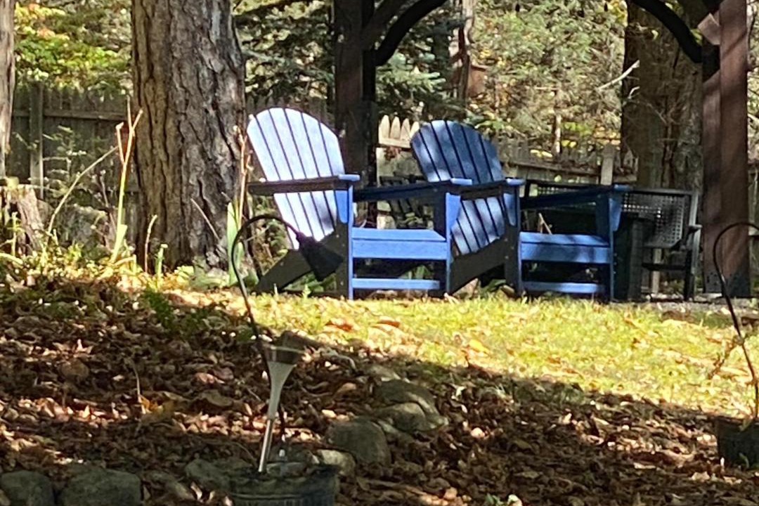 Photo of Others in Hammondsport