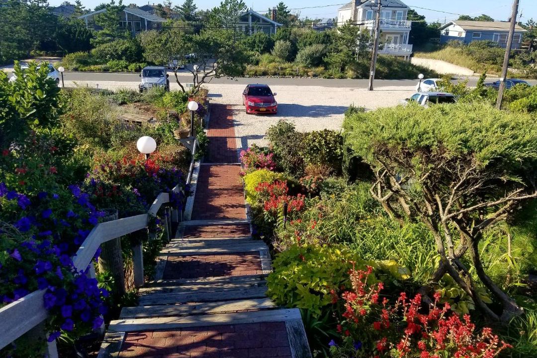 Photo of Others in Napeague