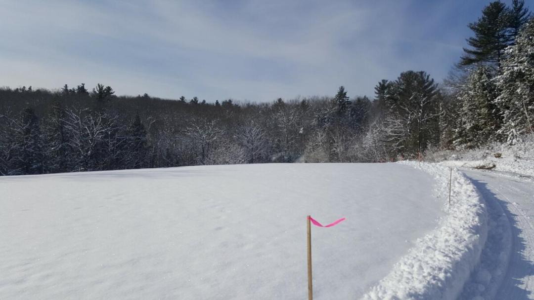 Photo of Others in Pine River Pond