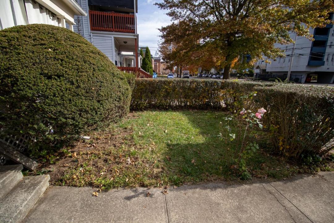 Photo of Others in West New Haven