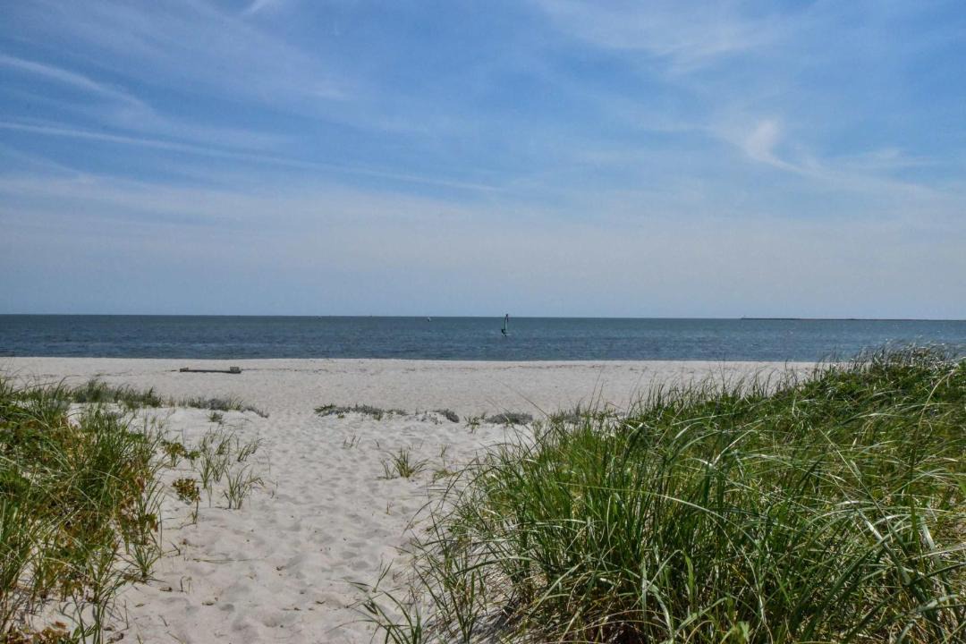 Photo of Others in Hyannis