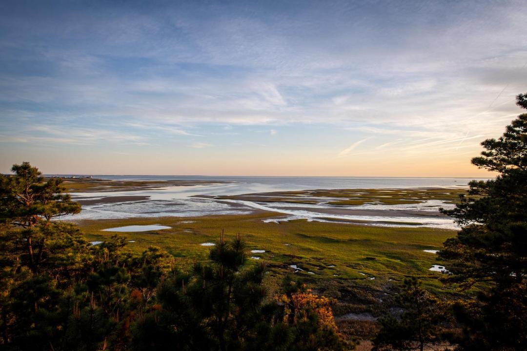 Photo of Others in Wellfleet