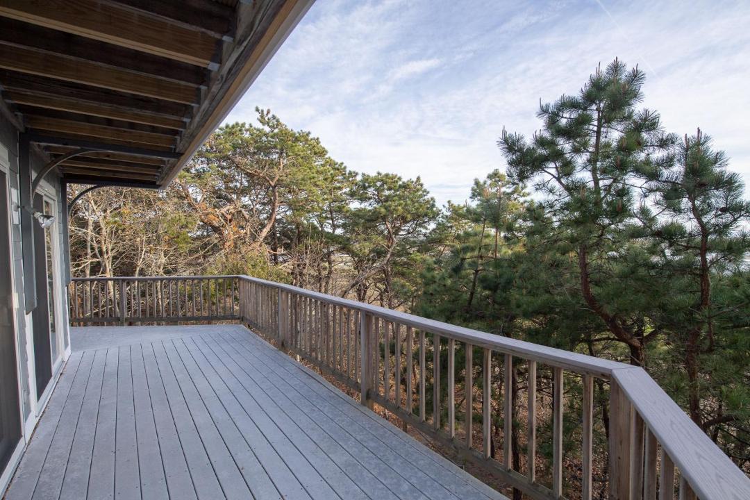 Photo of Others in Wellfleet