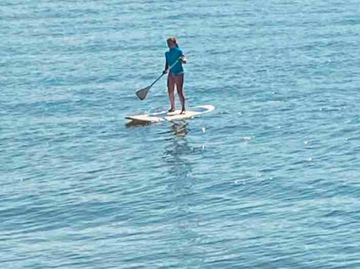 Photo of Human In Picture in Dover