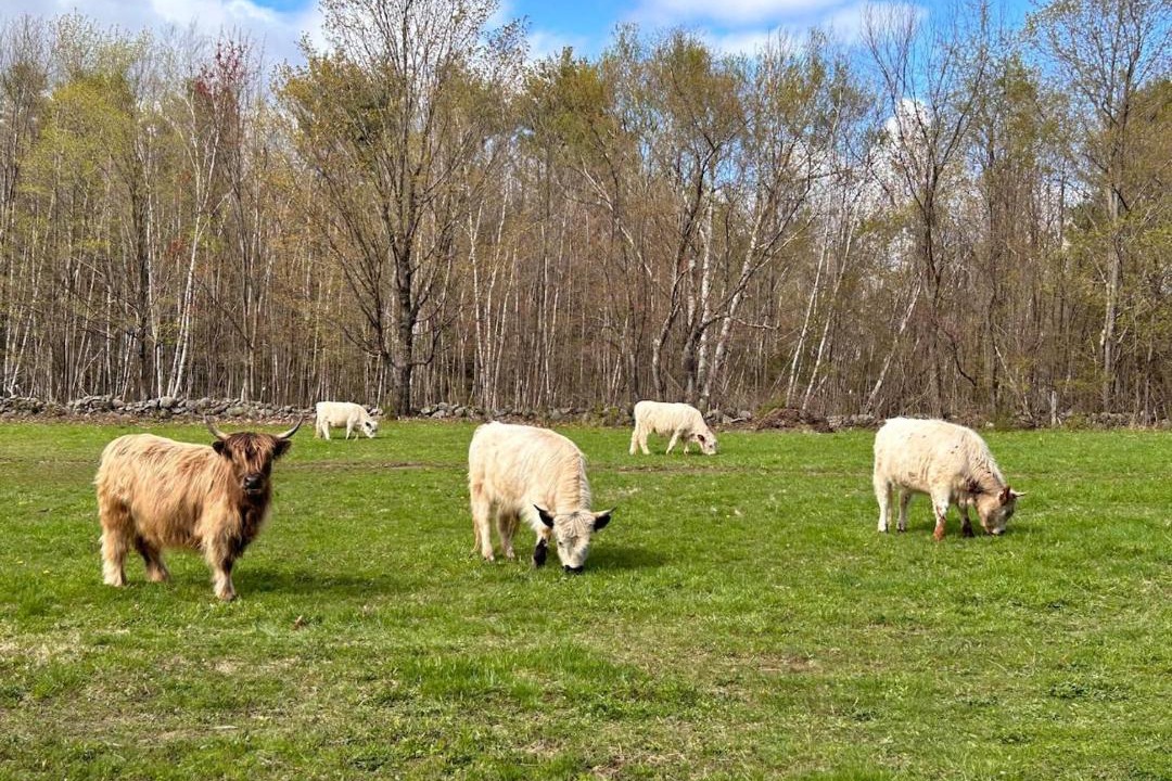 Photo of Others in Gilmanton