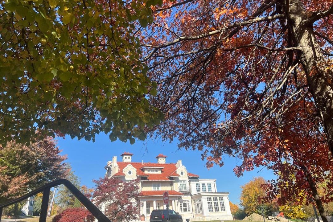 Photo of Others in Chestnut Hill