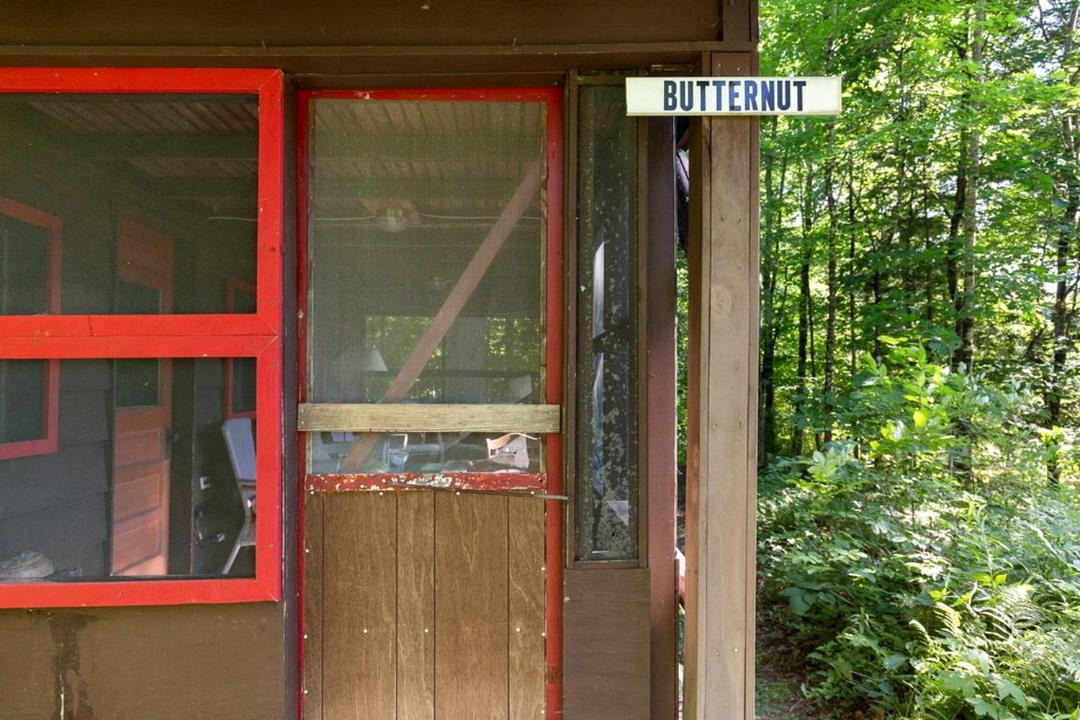 Photo of Others in Lyme