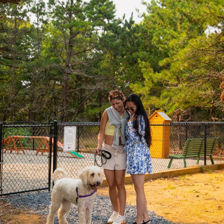 Photo of Others in North Truro