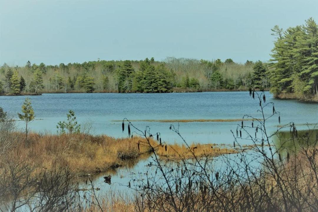 Photo of Others in Mount Desert