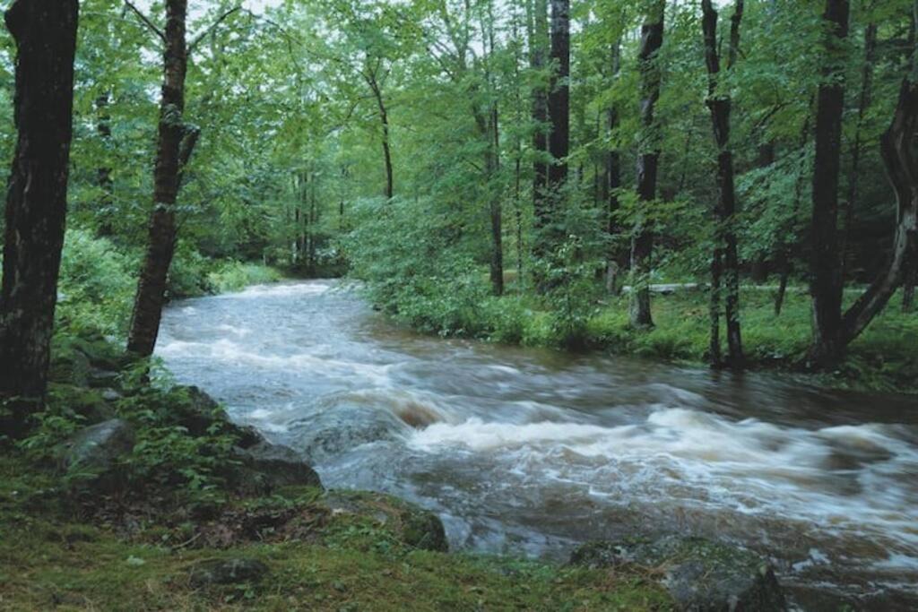 Photo of Others in Grafton
