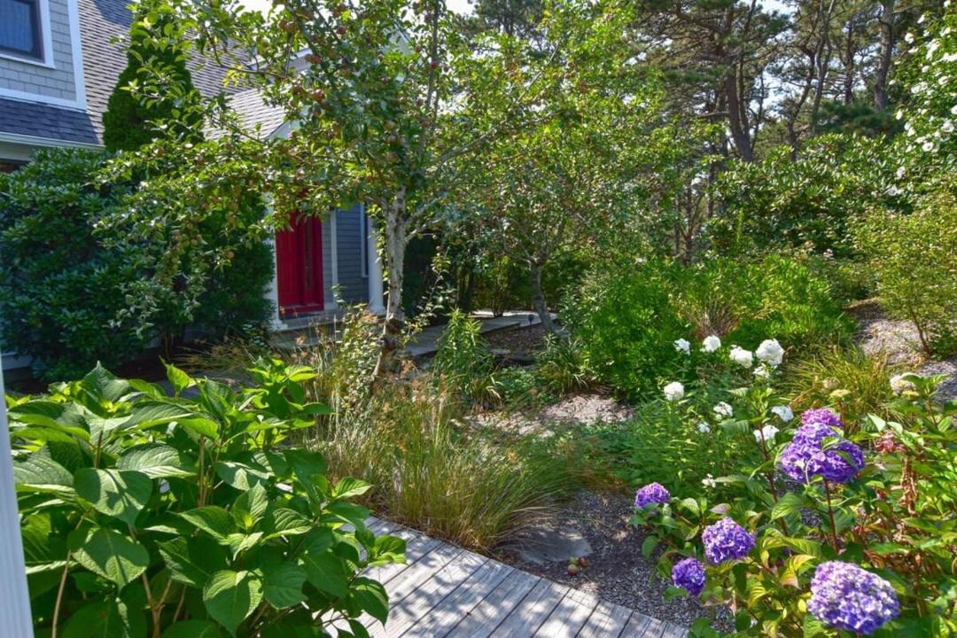 Photo of Others in Wellfleet