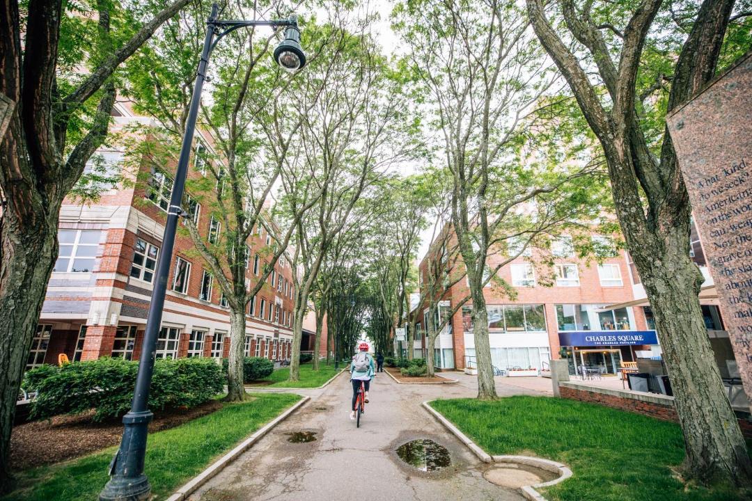 Photo of Others in West Cambridge