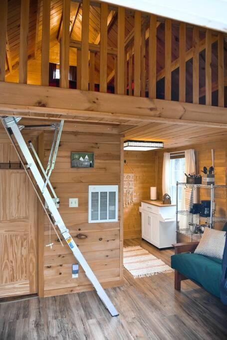 Photo of Others in Stoneham