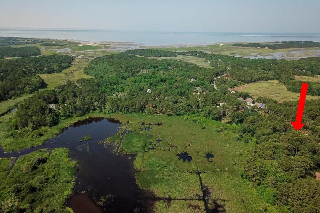 Photo of Outdoor in Wellfleet