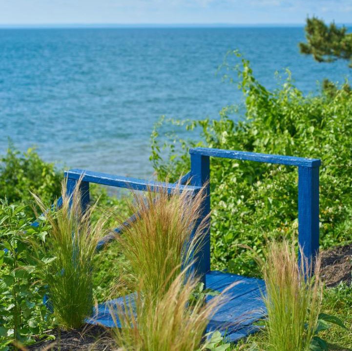 Photo of Others in Greenport West