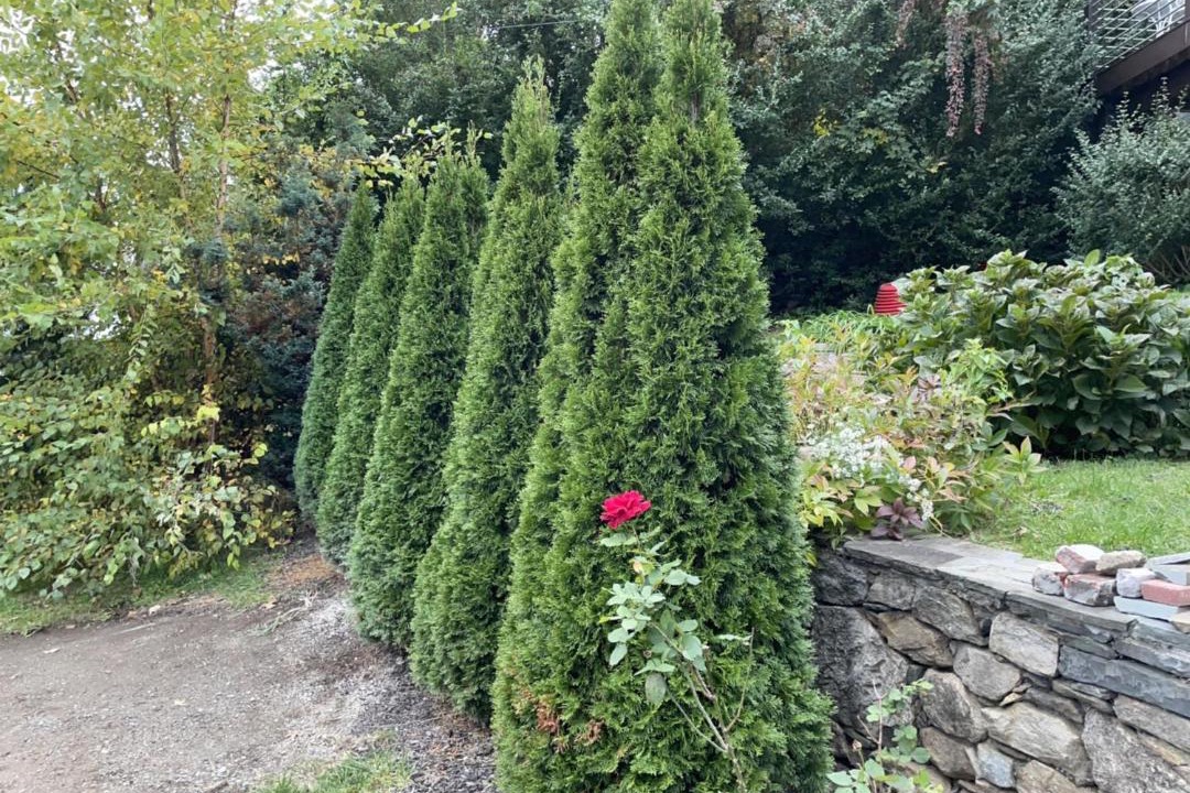 Photo of Others in Cos Cob