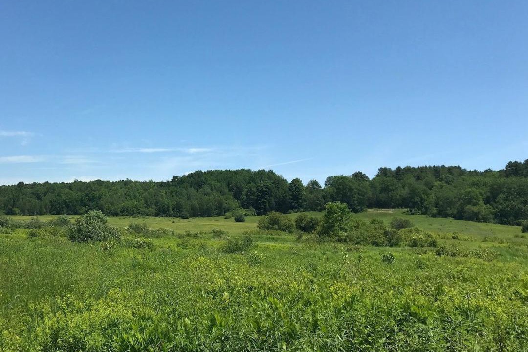 Photo of Outdoor in New Gloucester