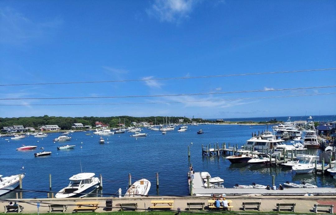 Photo of Others in Oak Bluffs