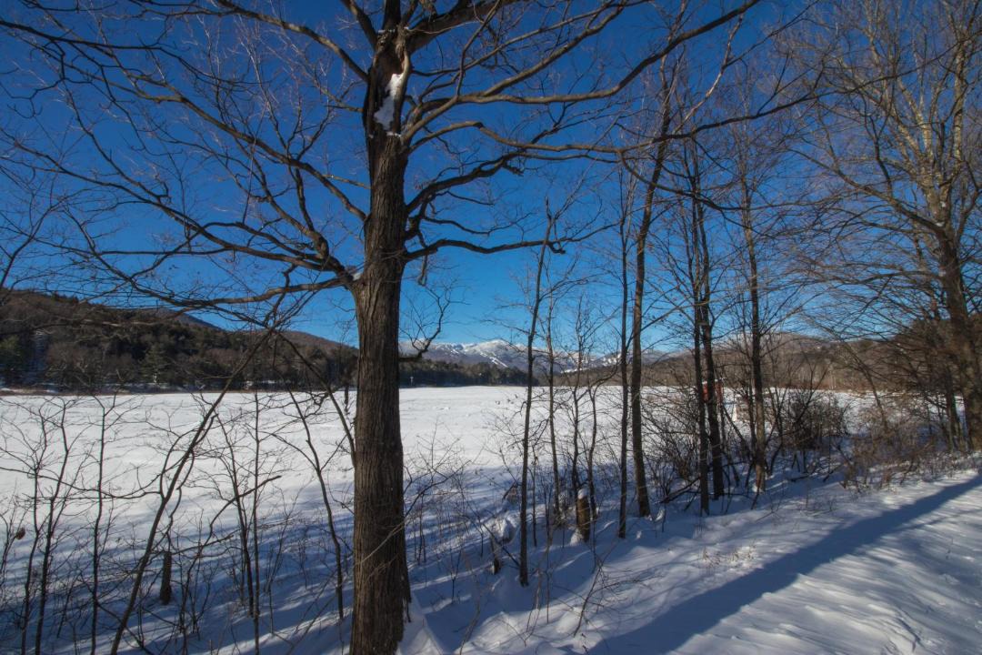 Photo of Others in Stowe Area
