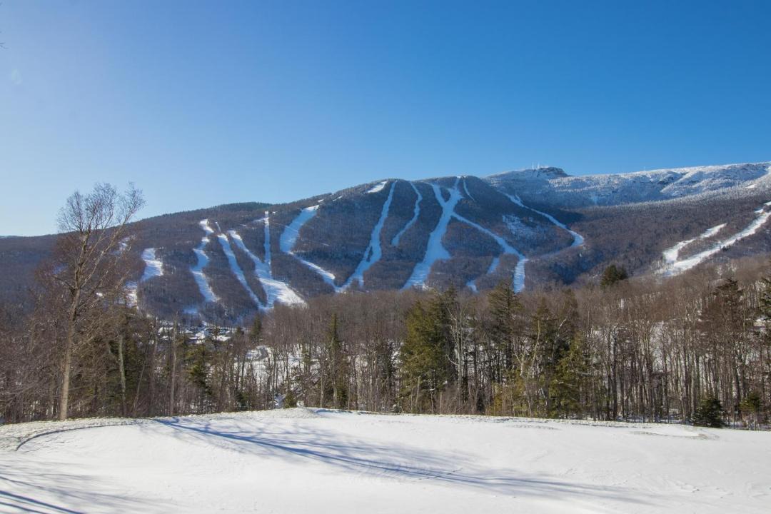 Photo of Others in Stowe Area