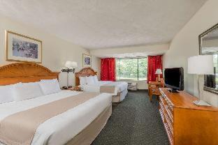 Photo of Bedroom in Newport East
