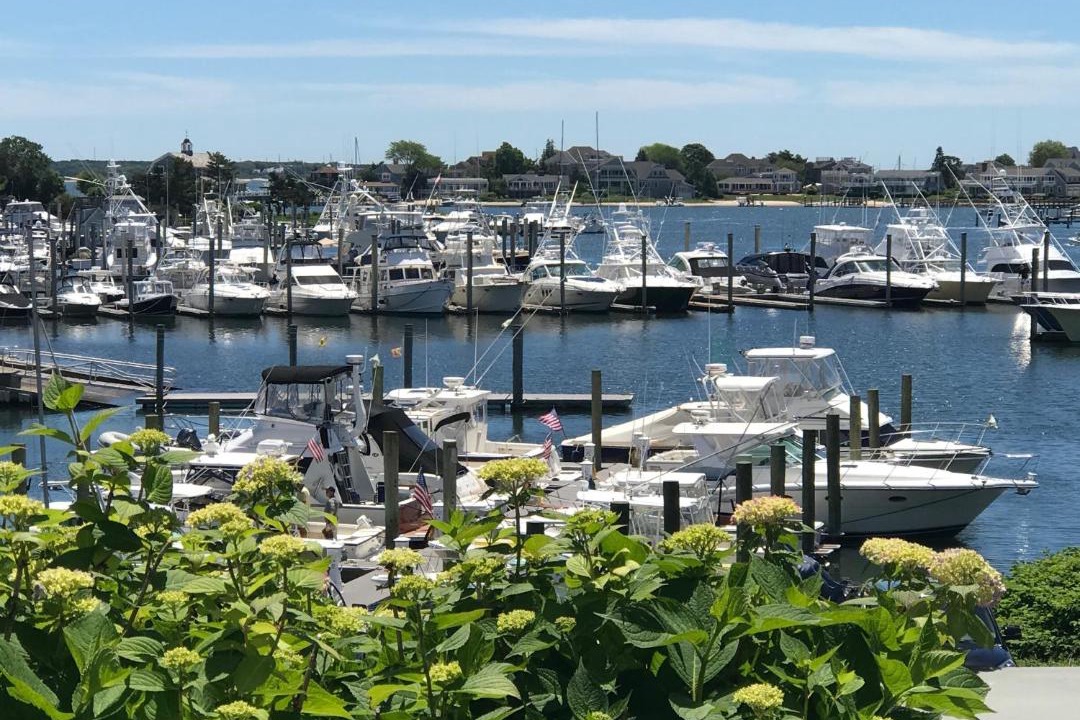 Photo of Others in Hyannis