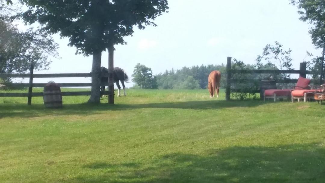 Photo of Others in Jaffrey