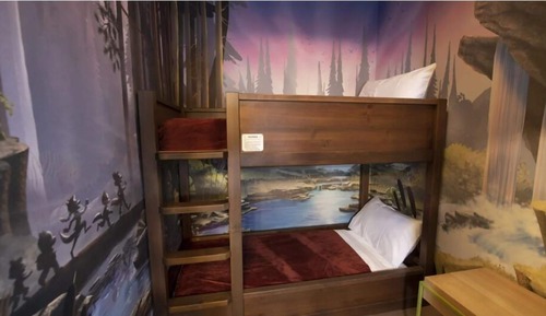 Room (Wolf Den King - Water Park Included)