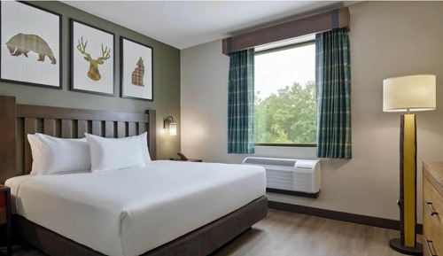 Suite (Grizzly Wolf Den- Water Park Incl)