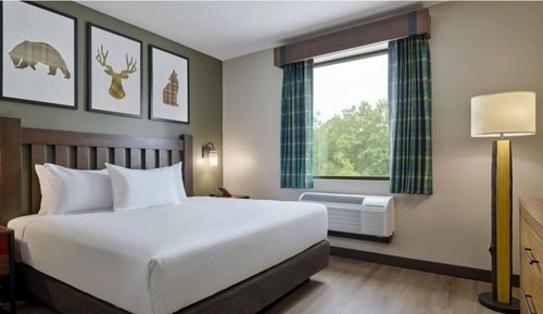 Suite (Royal Wolf Den- Water Park Incl)