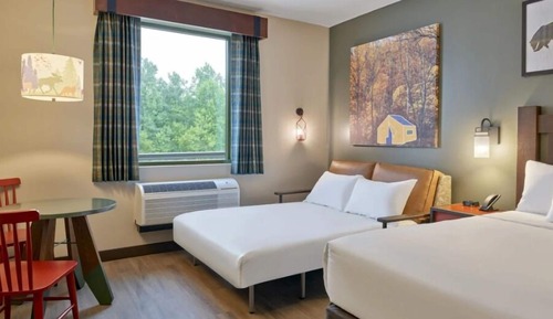 Suite (Wolf Pup Den Suite - Water Park Incl)
