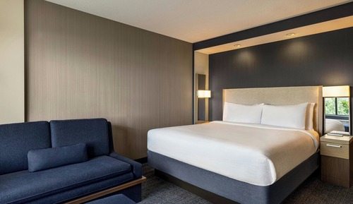 Room, 1 King Bed with Sofa bed, Hearing Accessible