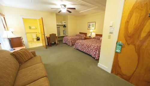 Traditional Room, Roll-In Shower, Air Conditioning