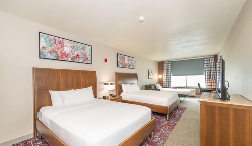 Room, Multiple Beds