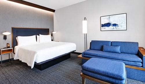 Suite, 1 King Bed with Sofa bed