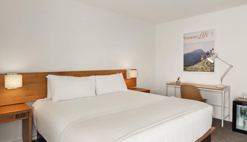 Standard Room, 1 King Bed, Non Smoking, Mountain View
