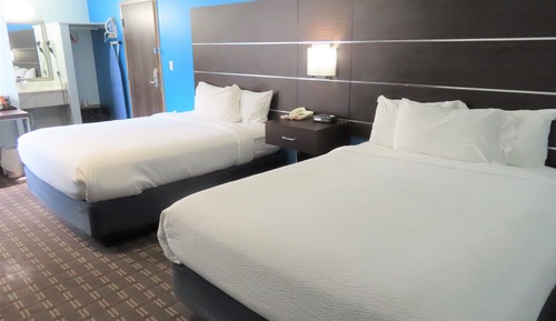 Deluxe Room, Non Smoking, Refrigerator & Microwave