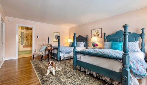 Villa 2 Queens, family, spacious, dog friendly, resort views