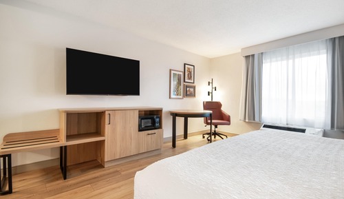 Room, 1 King Bed, Accessible (Mobility & Hearing, Roll-In Shower)