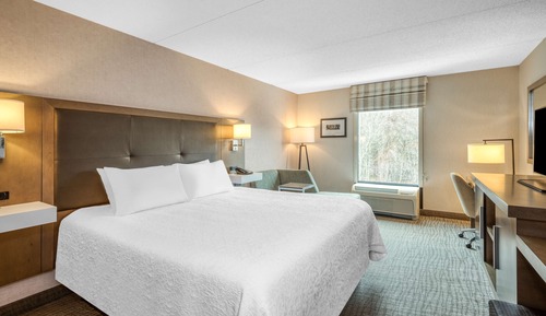 Room, 1 King Bed, Accessible