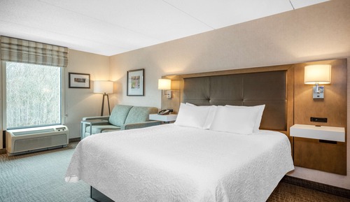 Room, 1 King Bed