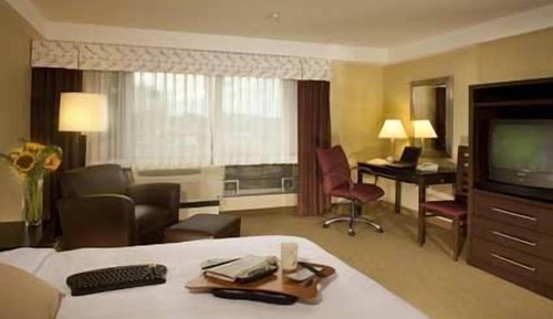 Room, 1 King Bed, Accessible, Bathtub