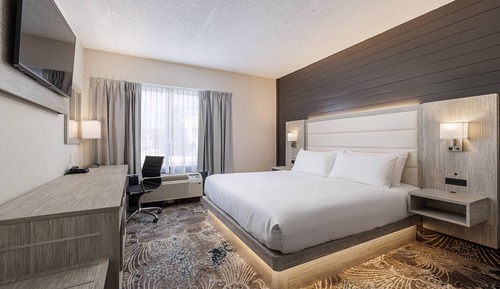 Room, 1 King Bed, Non Smoking